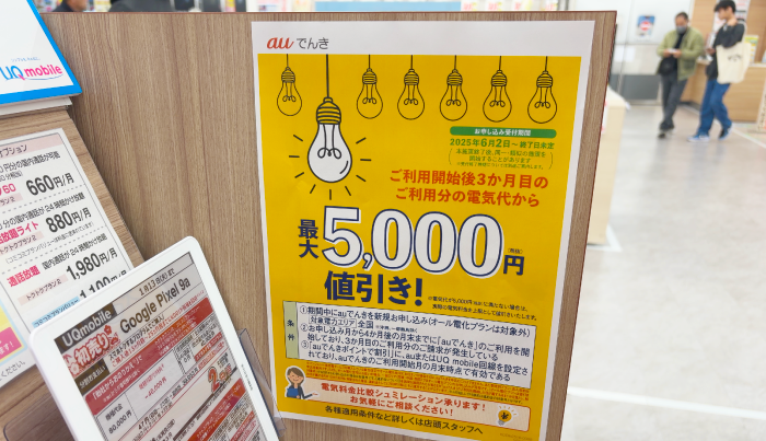 家電量販店のauでんきキャンペーン