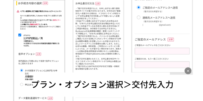 プランやオプションの選択をして、電子交付先を入力する