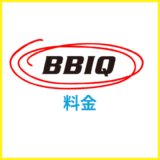 BBIQ光の料金は安い？料金明細の確認方法も解説