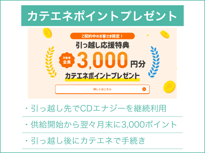 契約中の人限定カテエネポイント3,000円分