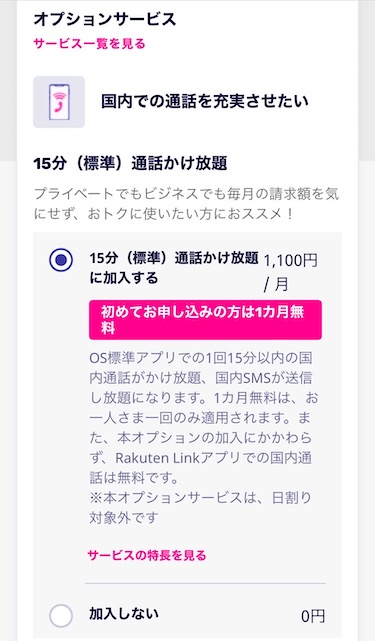 オプション選択