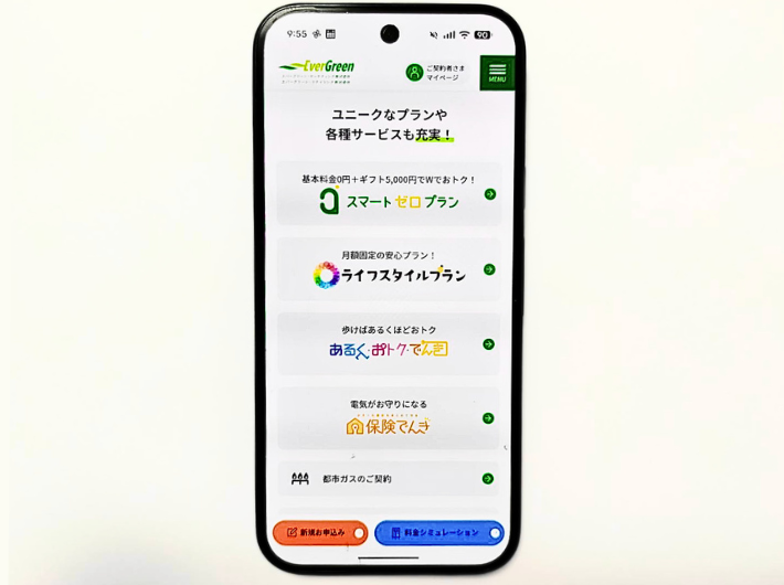 エバーグリーンのでんきプラン選び