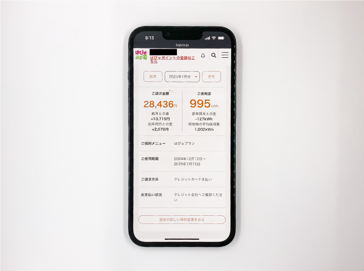 関西電力「はぴeプラン」の料金明細（2025年1月）