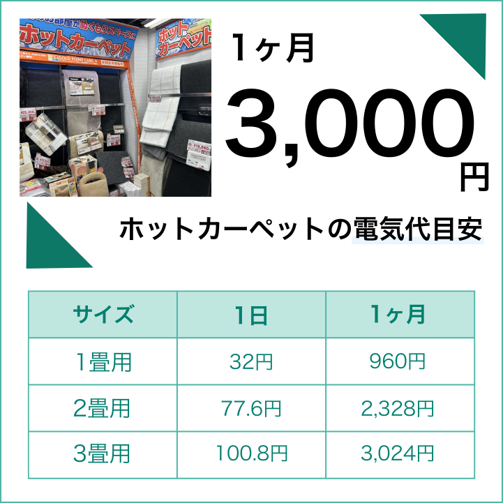 ホットカーペットの電気代は最大約3,000円