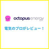 オクトパスエナジーを電気のプロがレビュー