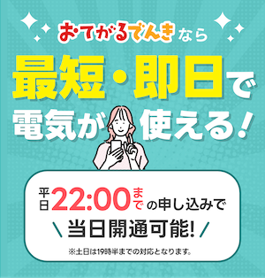 おてがるでんき