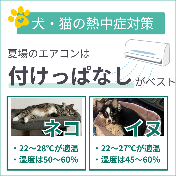 犬猫の熱中症対策はエアコンつけっぱなしがベスト