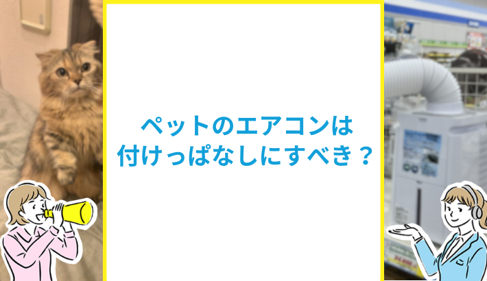 犬や猫のエアコンは付けっぱなしにするべき？