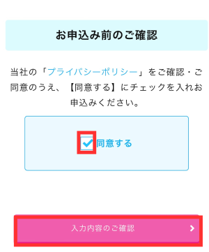 入力内容を確認