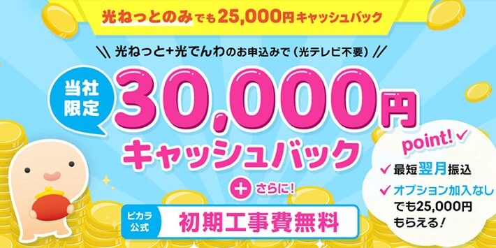 代理店NEXTはキャッシュバックが30,000円と高額