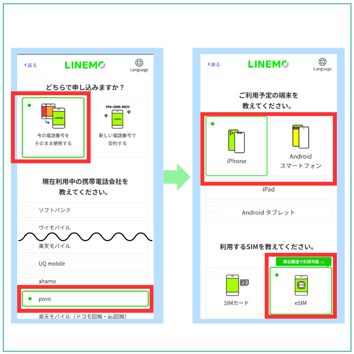 申し込み種別とSIMタイプを選択