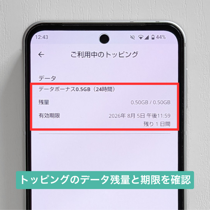 トッピングの残りデータと期限を確認しておく