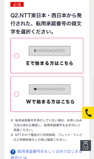 So-net光10Gプラン申し込みフォーム（承諾番号タイプ選択）