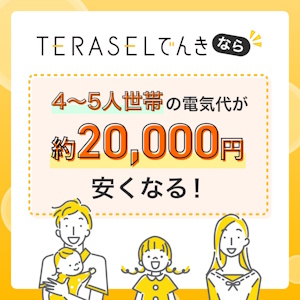 teraselでんき