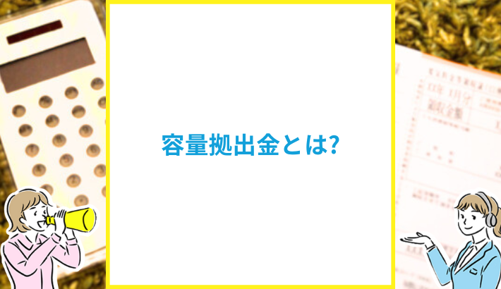 容量拠出金とは？